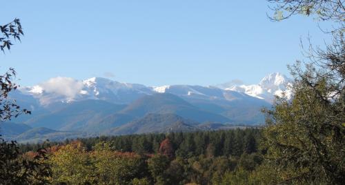 PAS DE LA BACQUERE - Gîte au milieu des bois avec vue sur les Pyrénées : Maisons de vacances proche de Monléon-Magnoac