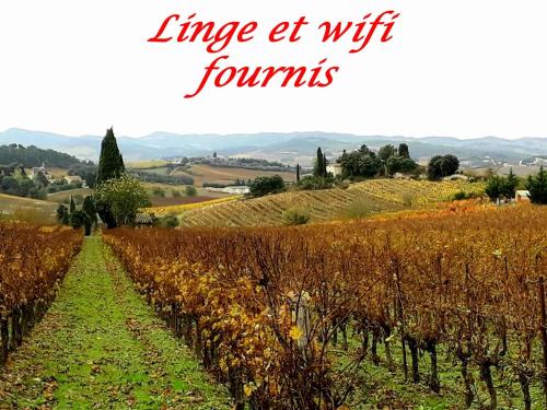 La Languedocienne appartement climatisé centre ville wifi inclus : Appartements proche de Loupia