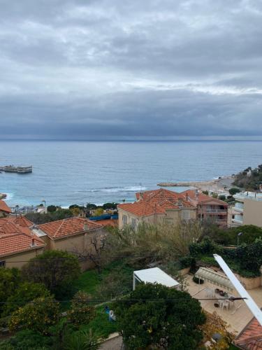 Charmant deux pièces aux portes de Monaco : Appartements proche de Cap-d'Ail