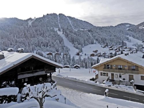 GROTTE AUX FEES A, appartement skis aux pieds : Appartements proche de La Clusaz