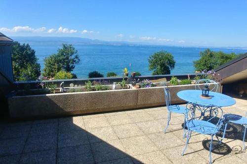 Lakefront. Appartement pieds dans l'eau. View and direct access to the lake. : Appartements proche de Lully