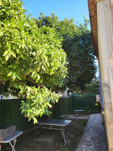 Clémentine : Appartements proche de Collioure