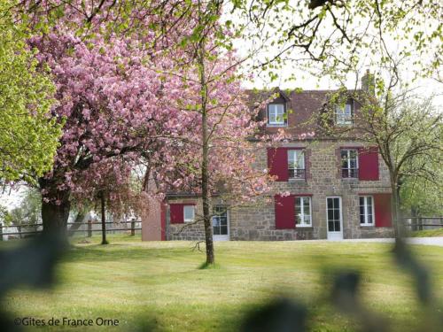 Gîte Ménil-Gondouin, 4 pièces, 8 personnes - FR-1-497-143 : Maisons de vacances proche de Ségrie-Fontaine