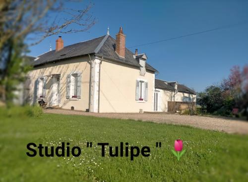 studio ''tulipe'' dans le Berry : Appartements proche de Reuilly