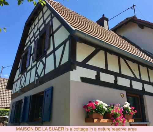 Maison de la Sauer - Bed and Breakfast | Chambre d’hôtes | Ferienhaus : Villas proche de Rœschwoog