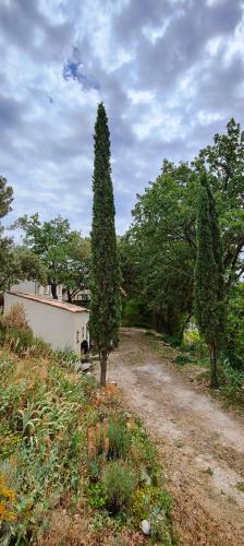 maison dans un écrin de chênes provençale : Maisons de vacances proche de Saint-Maurice-sur-Eygues