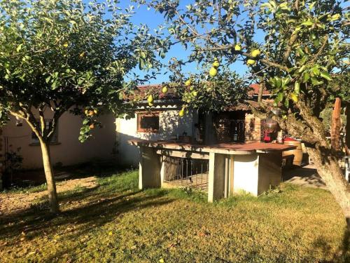 Ferme rénovée - lieu de charme et de détente : Maisons de vacances proche de Castelnau-Magnoac