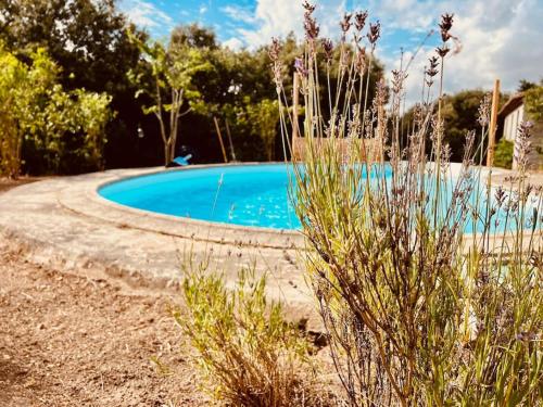 Villa avec piscine en bordure de forêt : Villas proche de Monteils