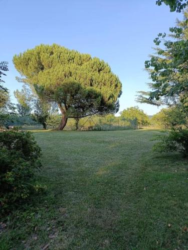 Maison au calme sur une propriété de 40 hectares : Maisons de vacances proche de Montagnac-d'Auberoche