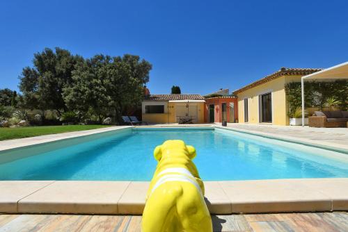 Villa piscine chauffée climatisation, entre Avignon et Uzes : Villas proche de Théziers
