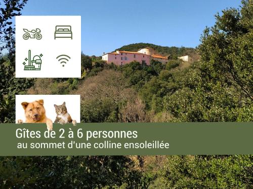 Pyrénées Mon Amour : Maisons de vacances proche de Caramany