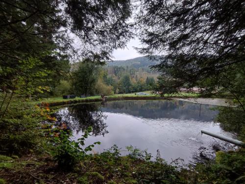 gîte appart mille étangs , Vosges du sud , au coeur de réserve naturelle : Appartements proche de Beulotte-Saint-Laurent