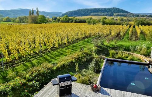 Beautiful Home In Mittelbergheim With Outdoor Swimming Pool, Sauna And 3 Bedrooms : Maisons de vacances proche d'Itterswiller
