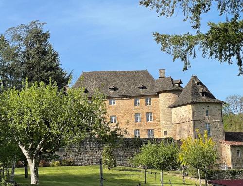 Castle in the beautiful French countryside with all modern comfort : Villas proche de Lacapelle-Marival