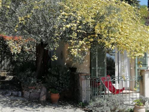 Charmant logement provençal avec piscine à deux pas du village médieval : Maisons de vacances proche de La Bastide