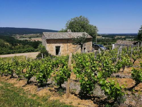 Une Maison de campagne en Bourgogne du Sud : Maisons de vacances proche de Préty