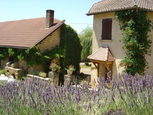 Maison traditionnelle au coeur d'une ferme : Maisons de vacances proche de Campagnac-lès-Quercy