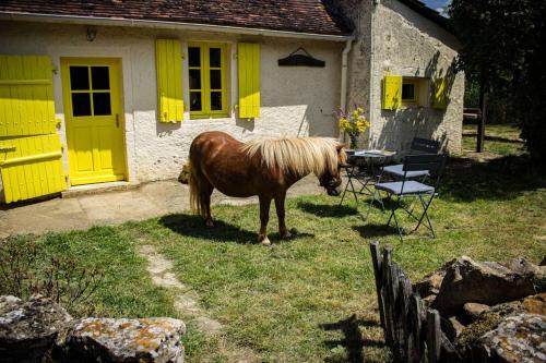Gîte de la Lioterie : Maisons de vacances proche d'Argenton-sur-Creuse