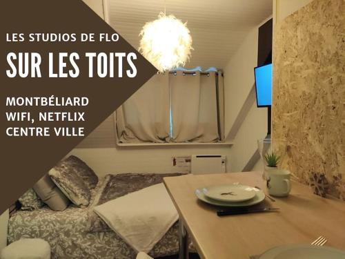 Sur les toits, studio centre-ville, WIFI Netflix : Appartements proche de Voujeaucourt