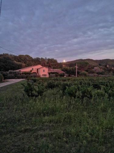 Le mas de Saint Jean Gîte les vignes : Maisons de vacances proche de Saint-Romain-en-Viennois
