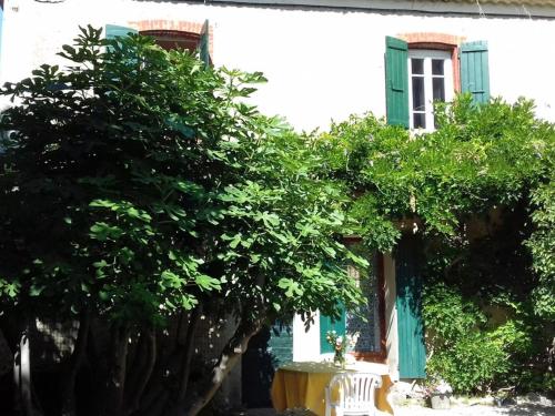 Nice provençal holiday home with garden and pool, Mollans-sur-Ouvèze : Maisons de vacances proche de Bénivay-Ollon