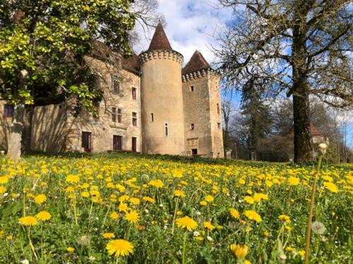Chateau de Saint Dau : Maisons de vacances proche de Reyrevignes