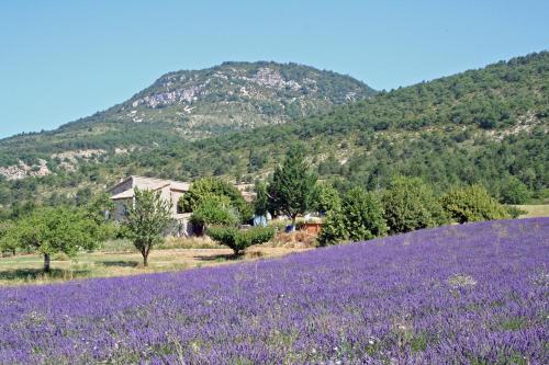 Meublé en Drôme Provençale : Appartements proche de Le Poët-Sigillat
