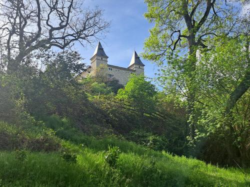 Chateau de la Segue : B&B / Chambres d'hotes proche de Saint-Nazaire-de-Valentane
