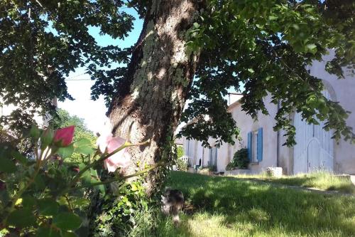 La Part des Anges, un grand gîte de caractère : Maisons de vacances proche de Saint-Sulpice-de-Pommiers