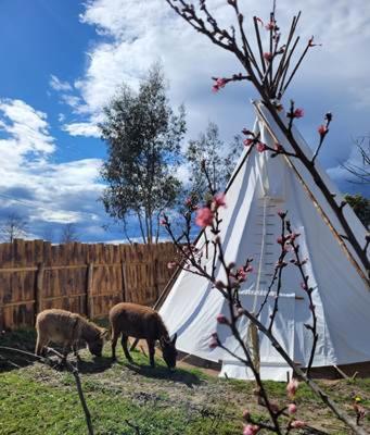 RED TIPI : Campings proche de Romestaing