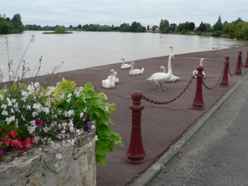 Gites Lacale face à la rivière : Maisons de vacances proche de Saint-Vincent-de-Pertignas