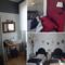 Maisons d'hotes Une Maison en Touraine : photos des chambres
