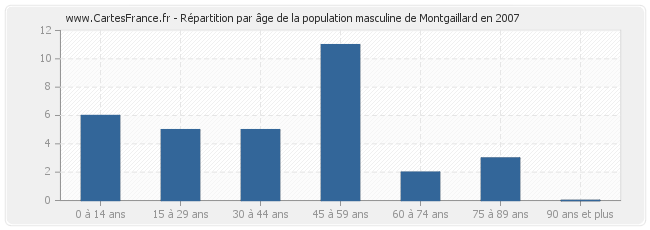 Répartition par âge de la population masculine de Montgaillard en 2007