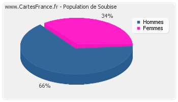 Répartition de la population de Soubise en 2007