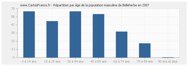 Répartition par âge de la population masculine de Belleherbe en 2007