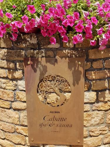 Cabane Spa Sauna : B&B / Chambres d'hotes proche de Saint-Clément-sur-Valsonne