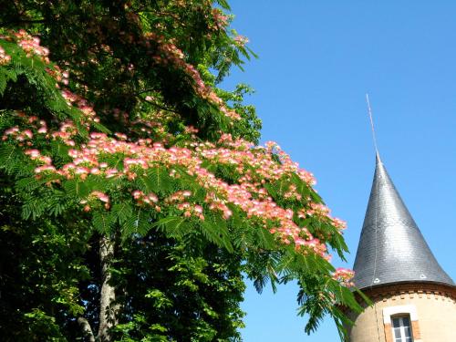 Domaine du Bourg Gites : Maisons de vacances proche de Diennes-Aubigny