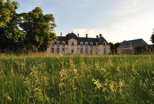 Chateau La Touanne Loire valley : B&B / Chambres d'hotes proche d'Épieds-en-Beauce