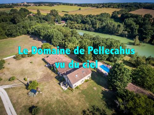 Gîtes de Pellecahus : Maisons de vacances proche de Saint-Vincent-de-Lamontjoie