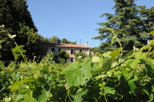 Les Vignes de Terrisse : Appartements proche de Cotignac