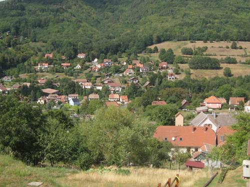 Aux coeurs de la vallée : Appartements proche de Dieffenbach-au-Val