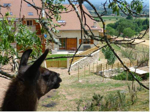 La Bruyère aux Lamas : Maisons de vacances proche de Cherier