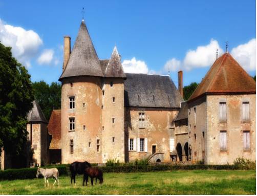 Château du Max : B&B / Chambres d'hotes proche de Verneuil-en-Bourbonnais
