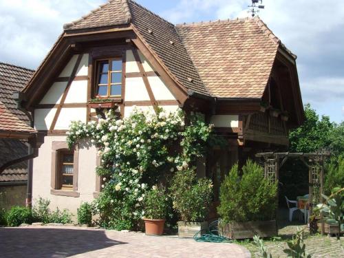 Gîte Les Cerisiers : Maisons de vacances proche de Dieffenbach-au-Val