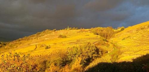 Wine Passion Panoramic : Maisons d'hotes proche de Saint-Alban-du-Rhône