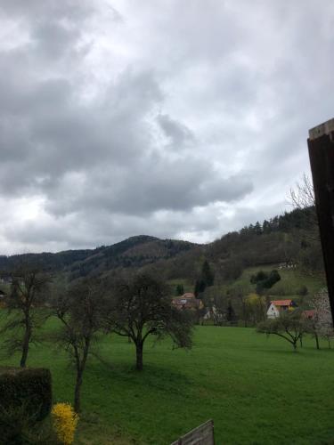 Petit week end dans la vallée : Appartements proche de Breitenbach-Haut-Rhin