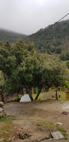 camping l'agrottu au cœur de la corse restaurant creperie : Campings proche de Tralonca
