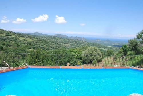 costa di sognu : Maisons de vacances proche de Vallica