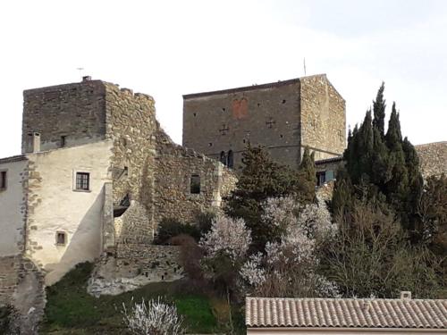 Château de Pieusse : B&B / Chambres d'hotes proche de Magrie