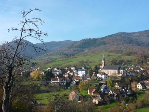 Gîte Schlitteur Et Sapiniere : Maisons de vacances proche de Dieffenbach-au-Val